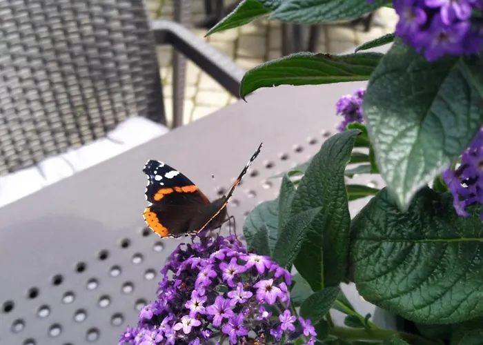 福马酒店 3* 皮拉